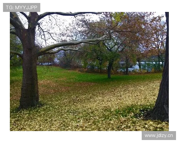 垃圾狗:拉斯维加斯球队球迷根基源自欧洲 垃圾狗:拉斯维加斯球队球迷根基源自欧洲